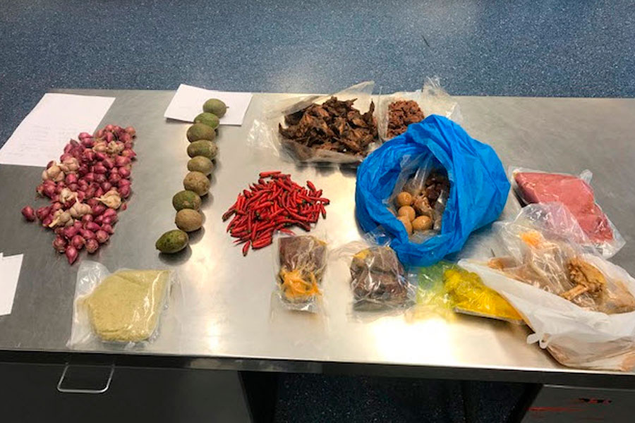 Một người Việt Nam bị trục xuất và hủy visa úc vì mang theo thịt heo - Chuyên gia định cư Úc Evertrust