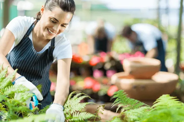 Visa 491 Úc - Tay nghề Vùng Chỉ Định - Skilled Work Regional - Evertrust
